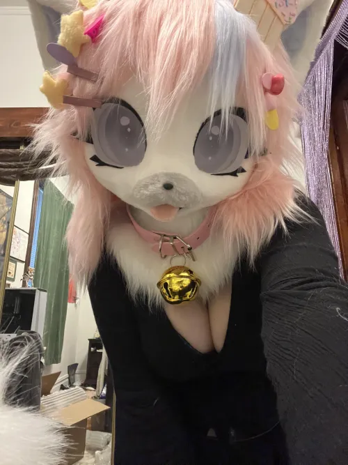Thumbnail Embarking on the Furry Adventure: My First Fursuit Journey