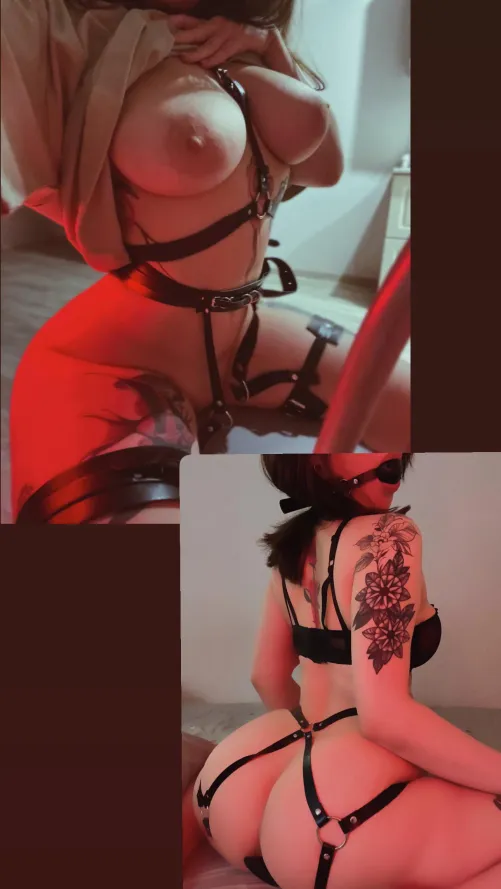 Thumbnail no_face_babyy: Comparing Front and Back Views in the World of Gothsluts
