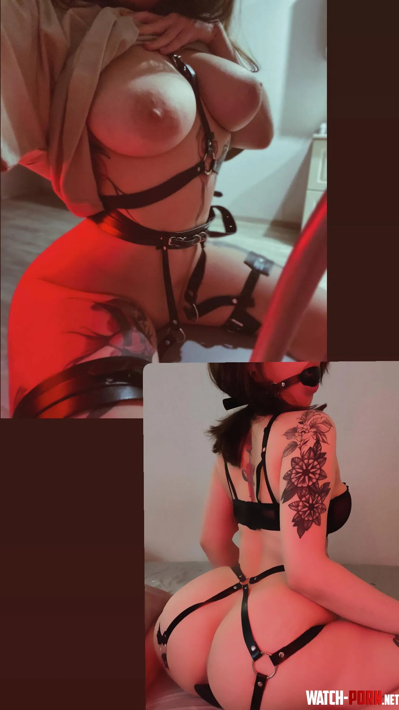 front view vs back view by no_face_babyy