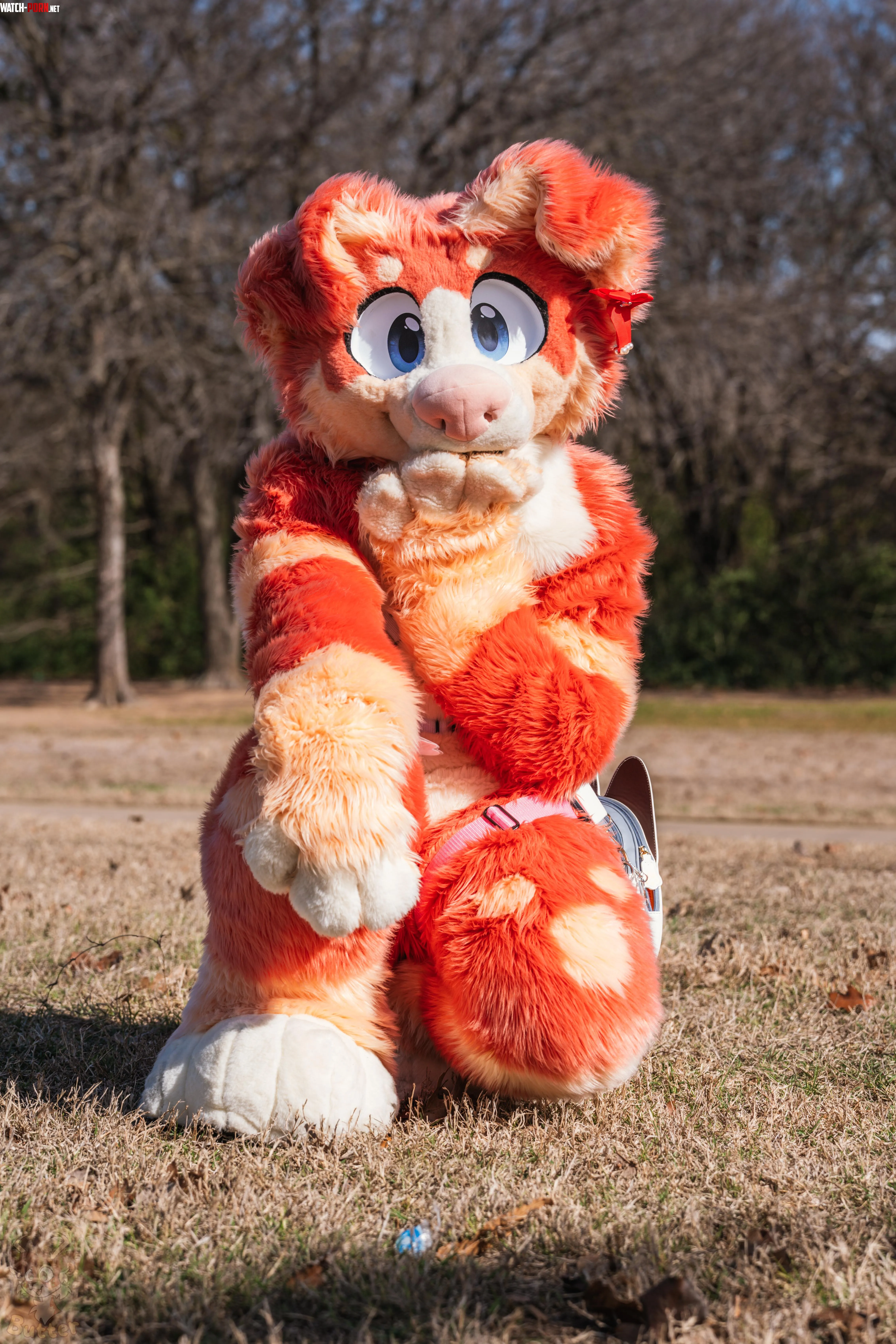 Puppy at the park by frostbite_owo
