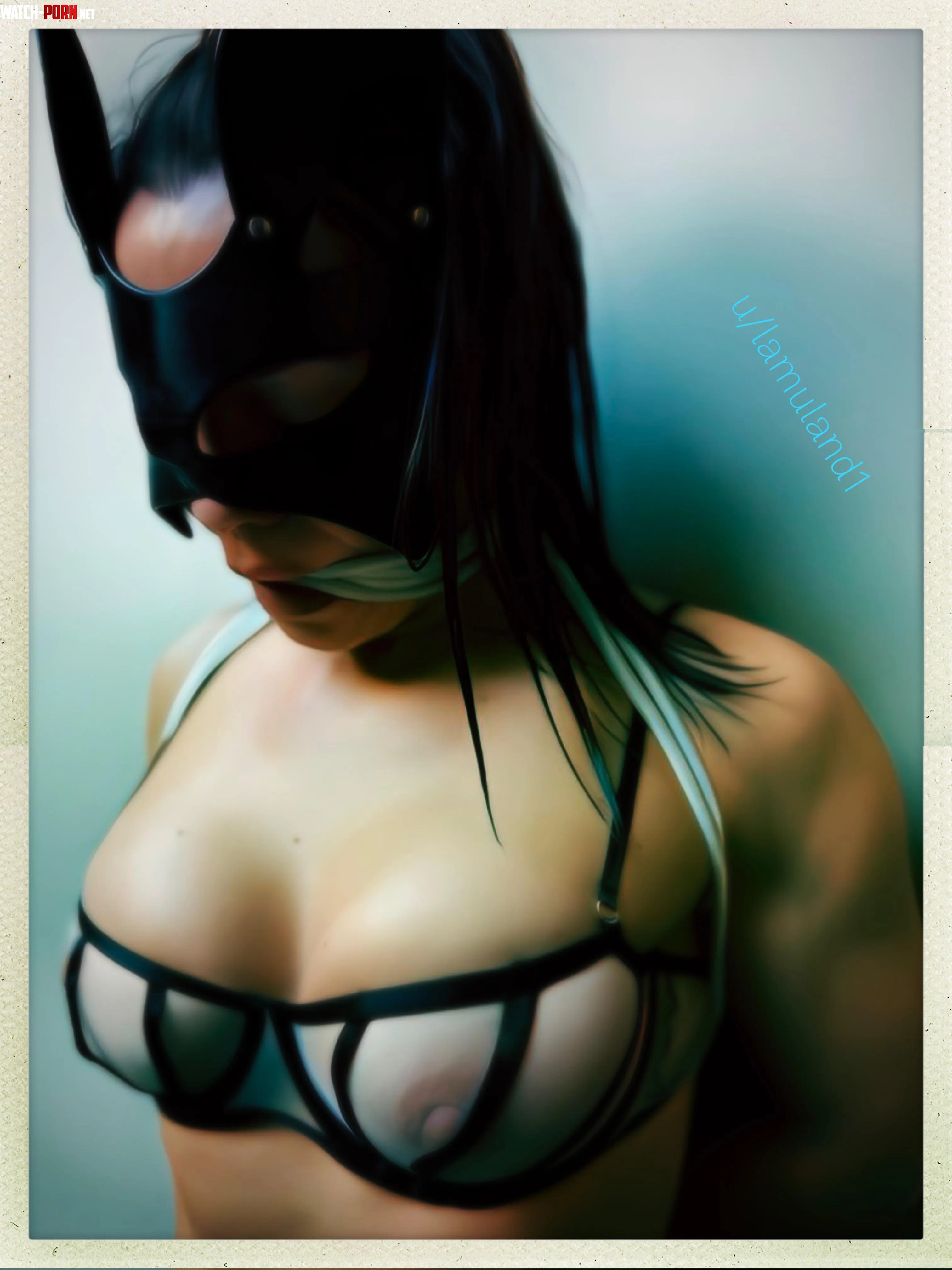 Catwoman has no escape F by Lamuland1