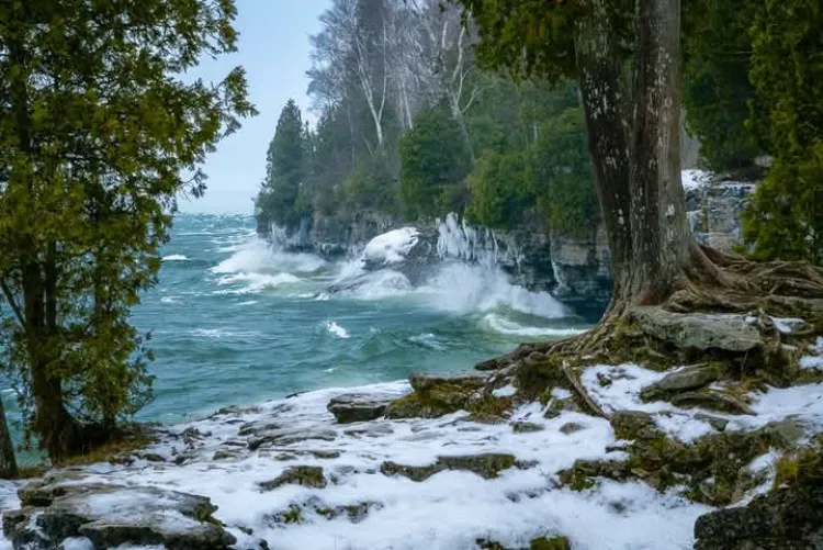 Thumbnail doorcountycentry Captures the Windswept Beauty of the Beach