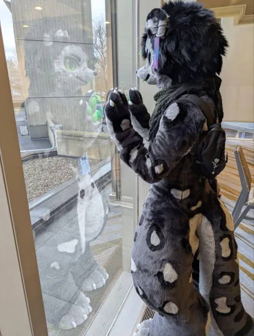 Thumbnail Waiting for Master: Furry Art by Bergenheimen
