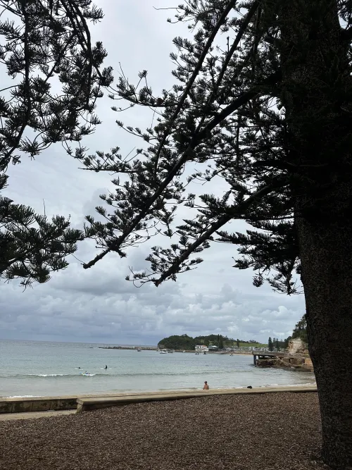 Thumbnail ArtfulPossum's Terrigal Beach Experience in NSW, OZ