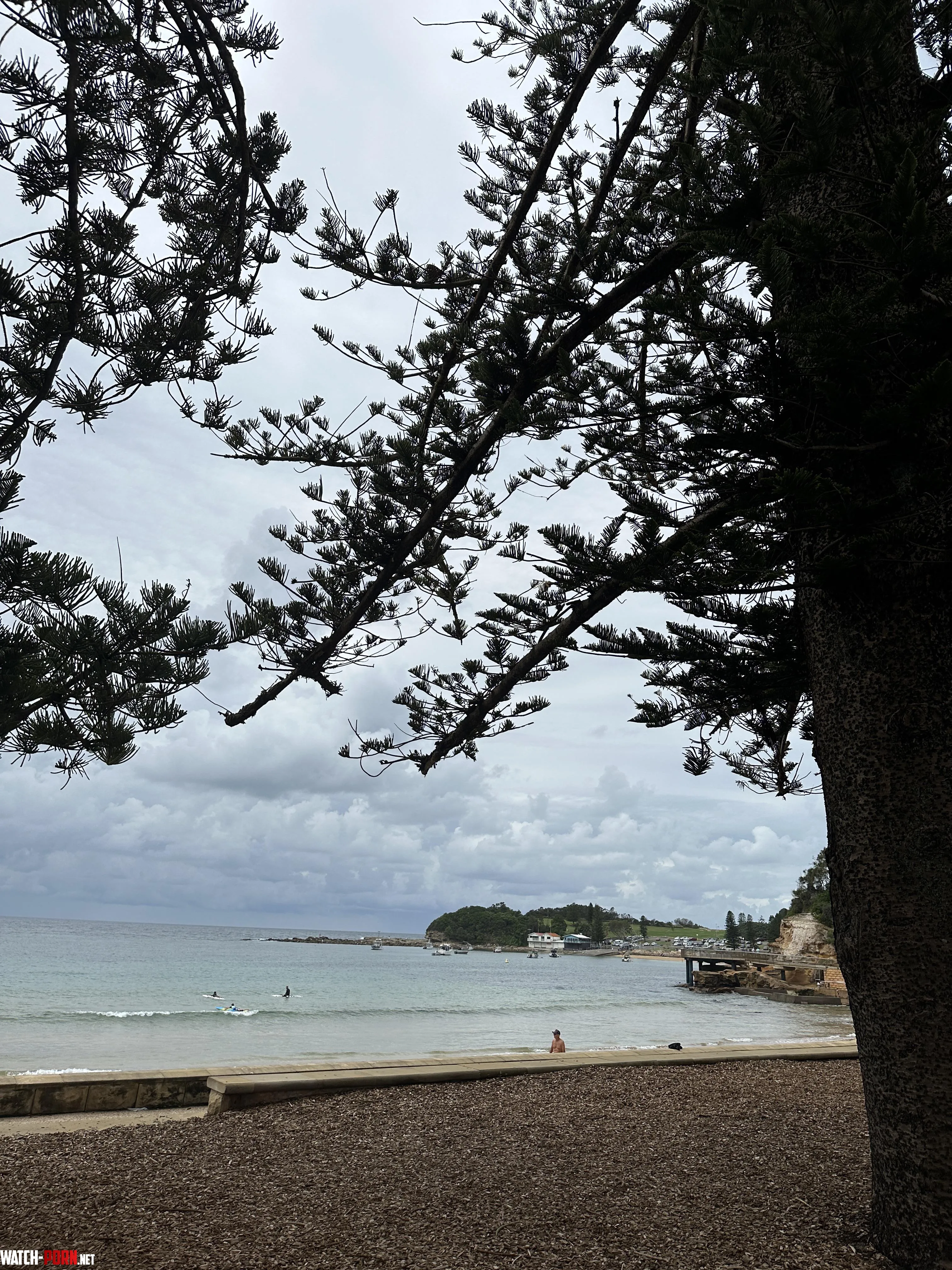 Terrigal Beach NSW OZ by TheArtfulPossum