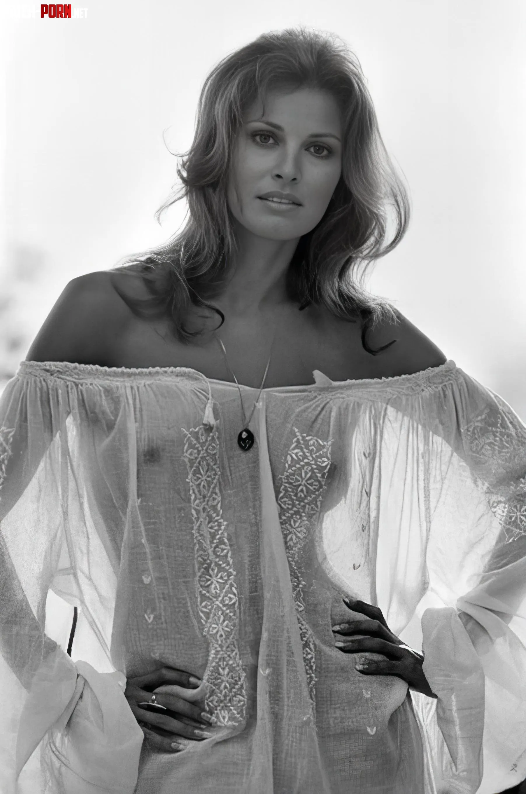 Raquel Welch late 60s by StoneSkip77