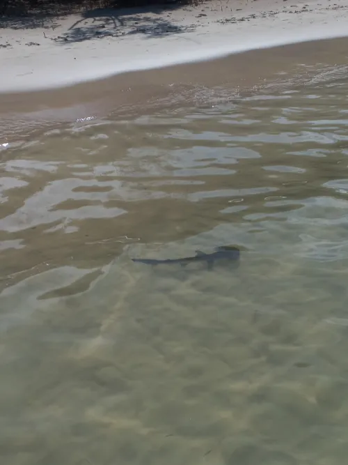 Thumbnail borntotravelling Explores Playa Mansa in Galapagos, Ecuador