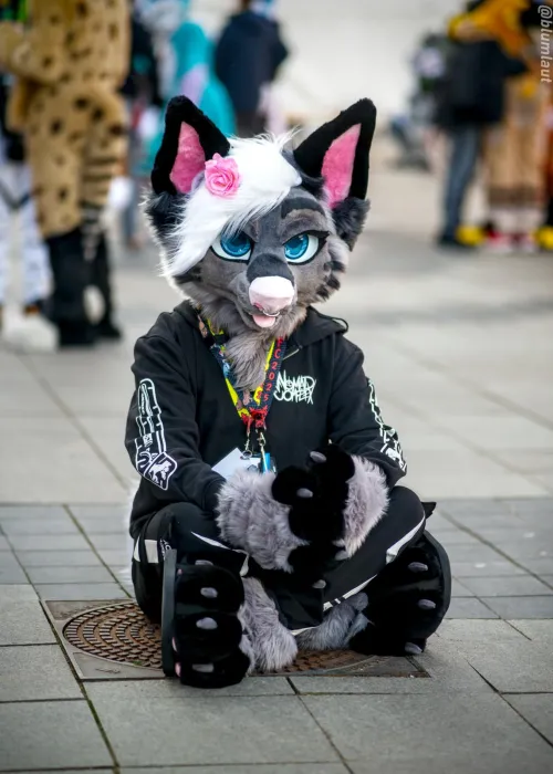 Thumbnail Rothritter Introduces Saga: A Furry Encounter