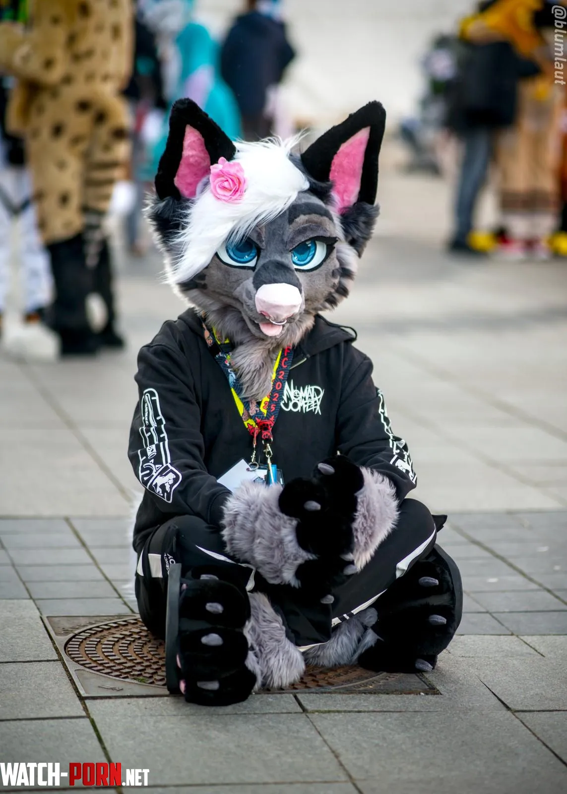 Say hi to Saga  by Rothritter