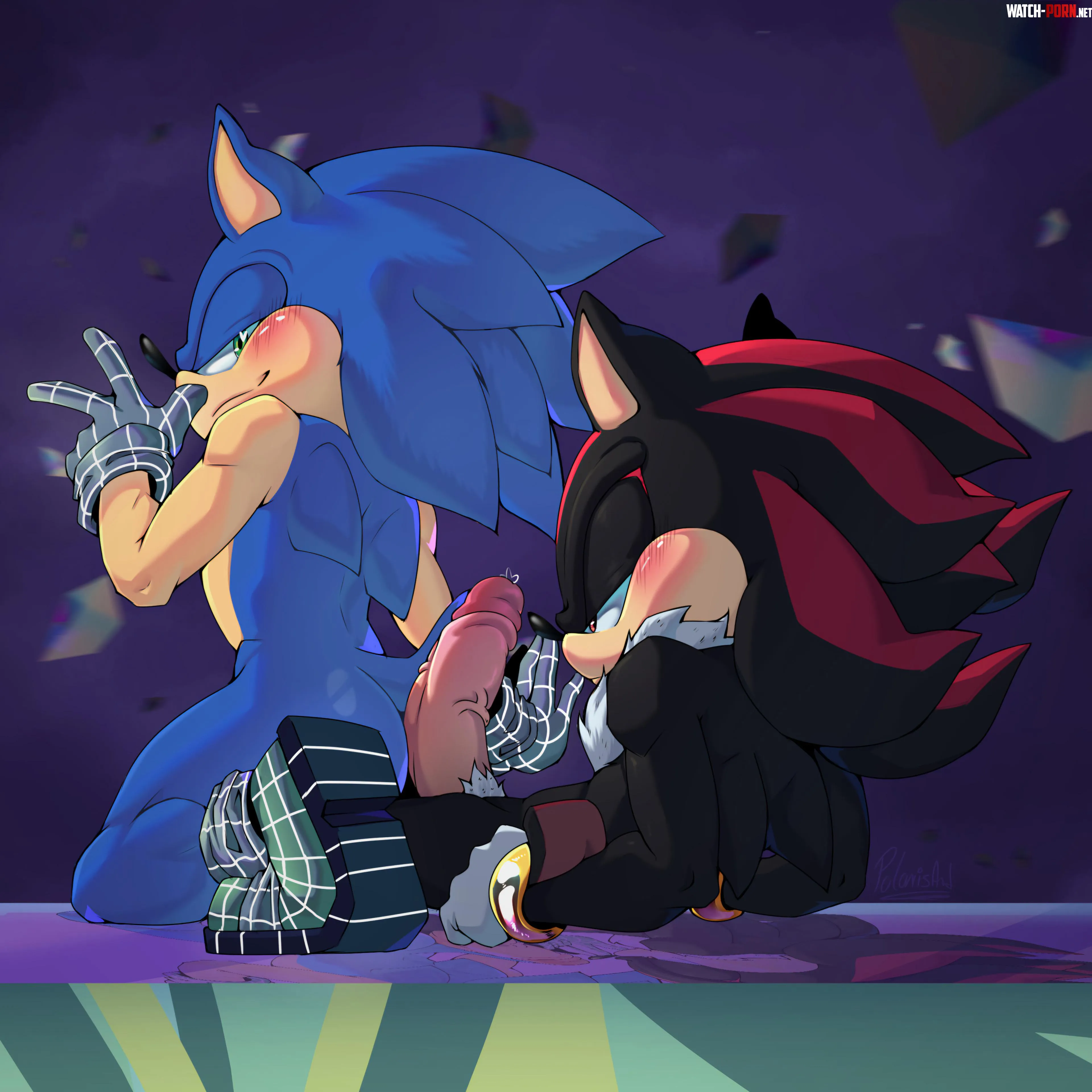 I think Sonic got a little too excited when he saw Shadow And Shadow got even more excited Look at that huge boner MM artpolaris by Sonic_the_hedgedog