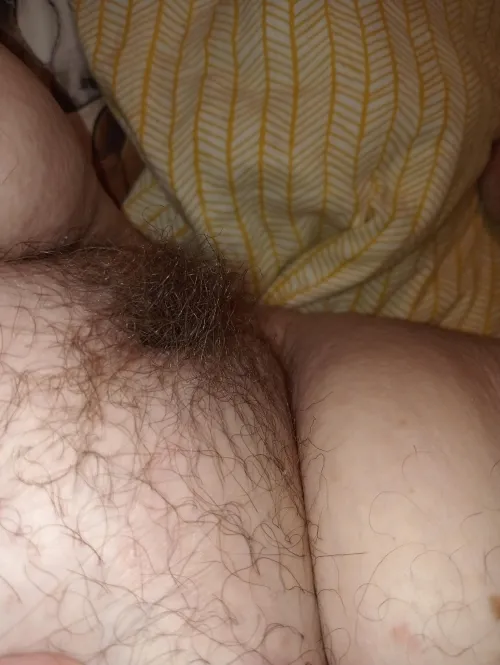 Thumbnail Exploring Hairy Fat Pussy & Fatty Thighs | Calm-Bottle-3117's Journey