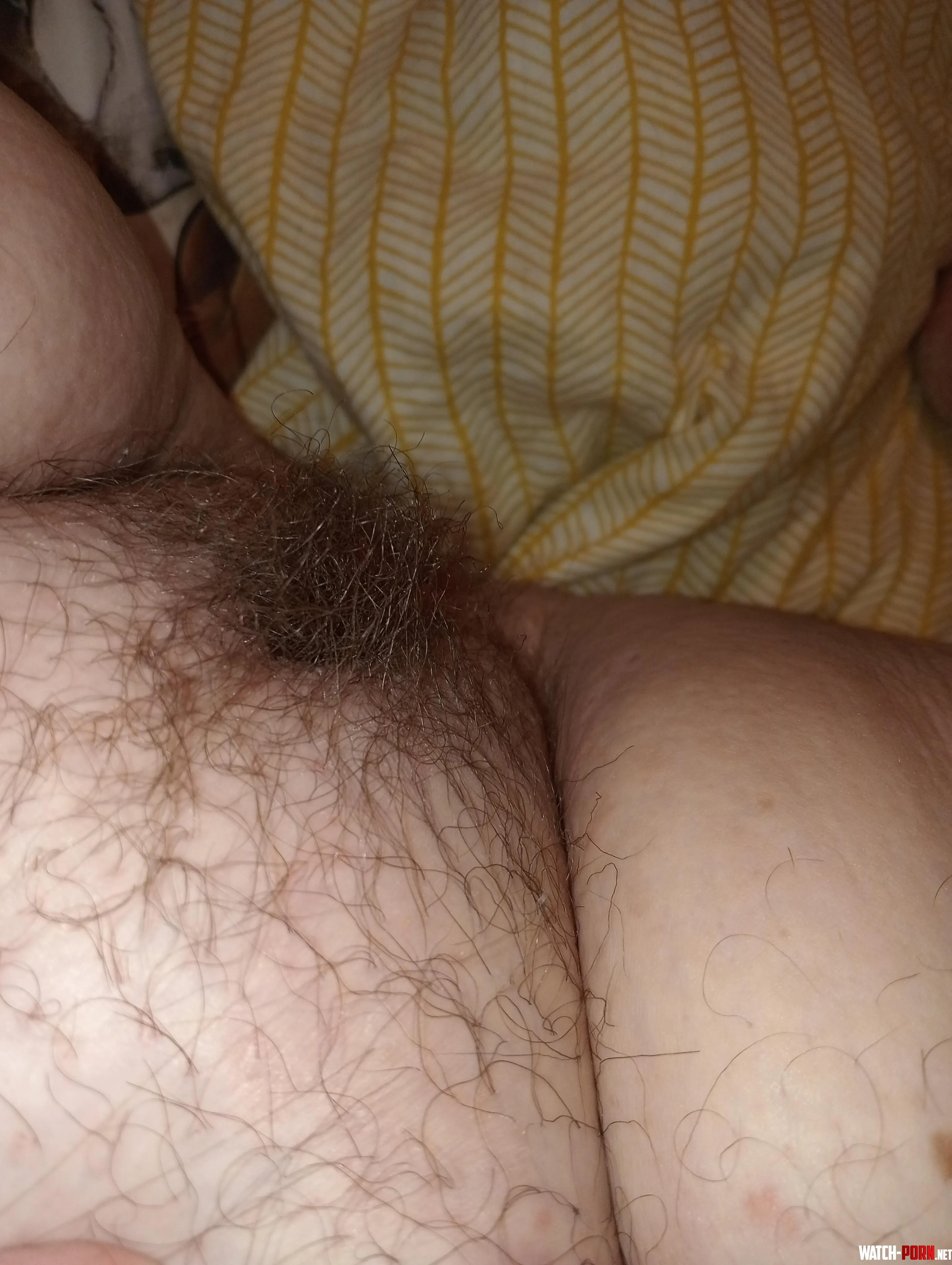 Hairy fat pussy and fatty thighs by Calm-Bottle-3117