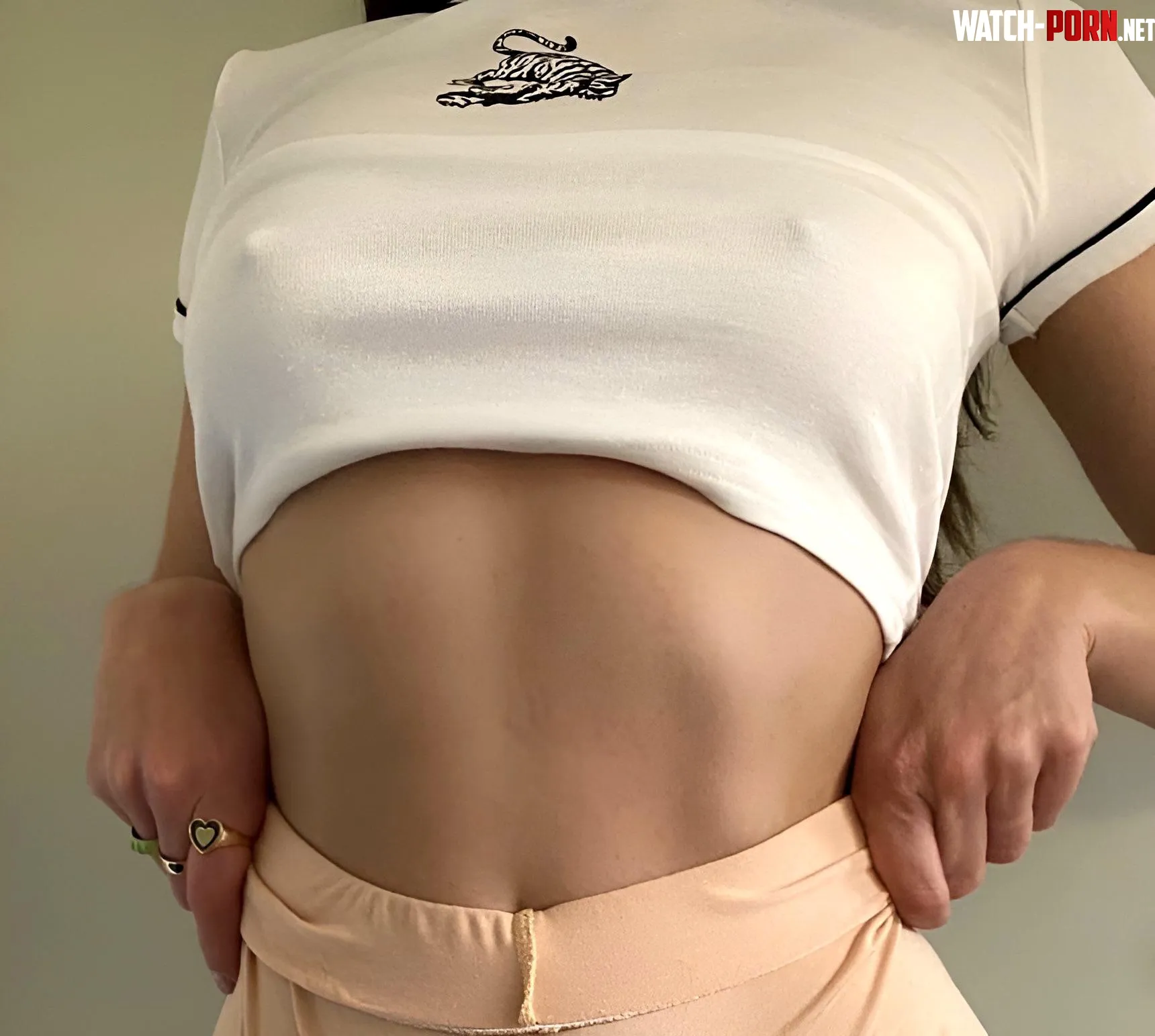 Pokies before dinner by Major-Definition-154