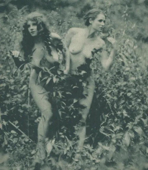 Thumbnail Revealing Nudes with Concealing Bushes in the 1930s | html5gamerguy