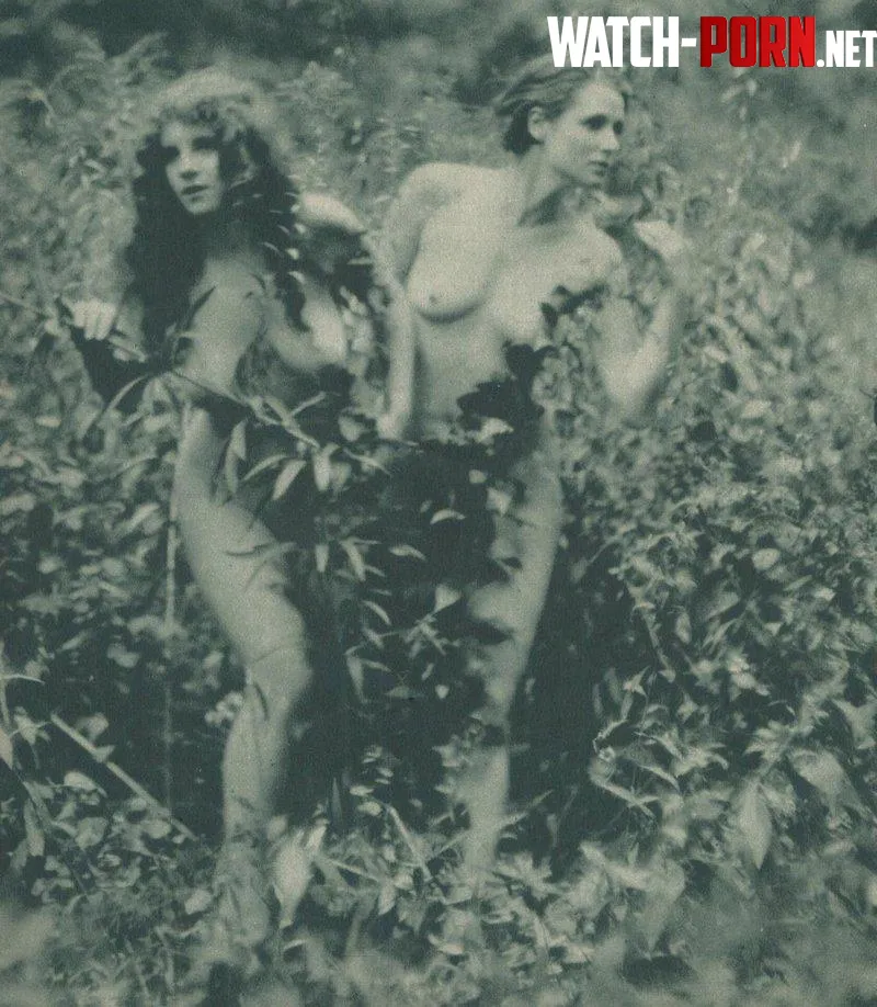 Nudes carefully posed with concealing bushes 1930s by html5gamerguy