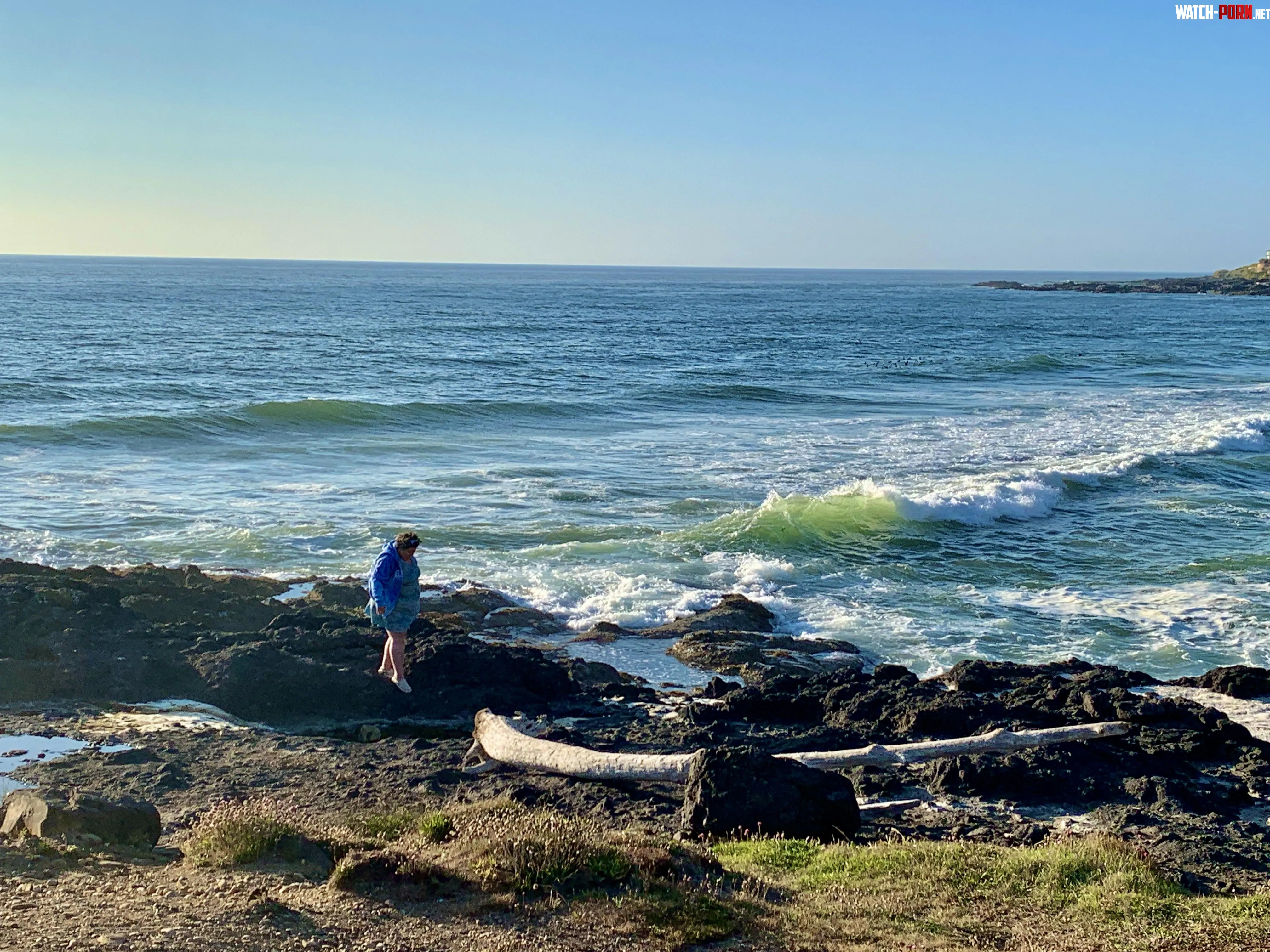 View of the tide rolling in in Yachats Oregon by MatureSuzyCheesecake