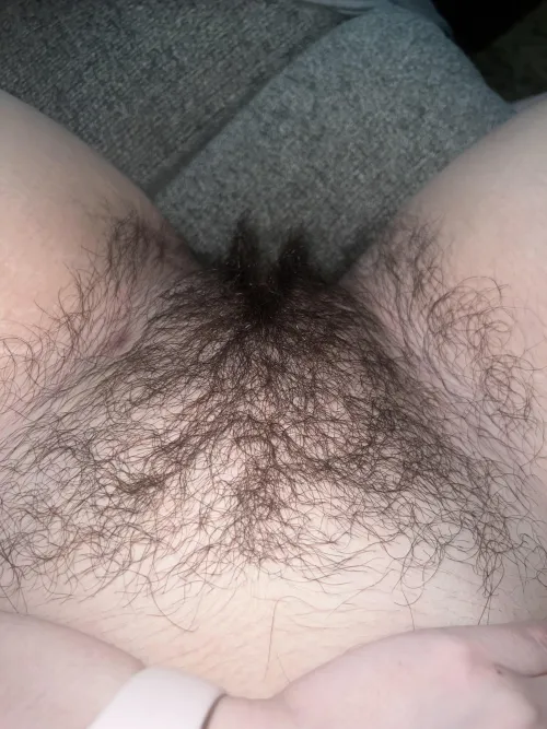 Thumbnail My Bush is Definitely an Attention Getter by baby_sophia20 | thefullbush