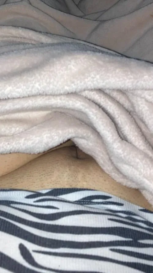 Thumbnail walkdog03 Seeks a Quick Licking | Discover the PussyMound