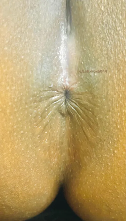 Thumbnail Exploring an Indian Asshole Up Close by Left-Fox5044 | Asshole Curiosity