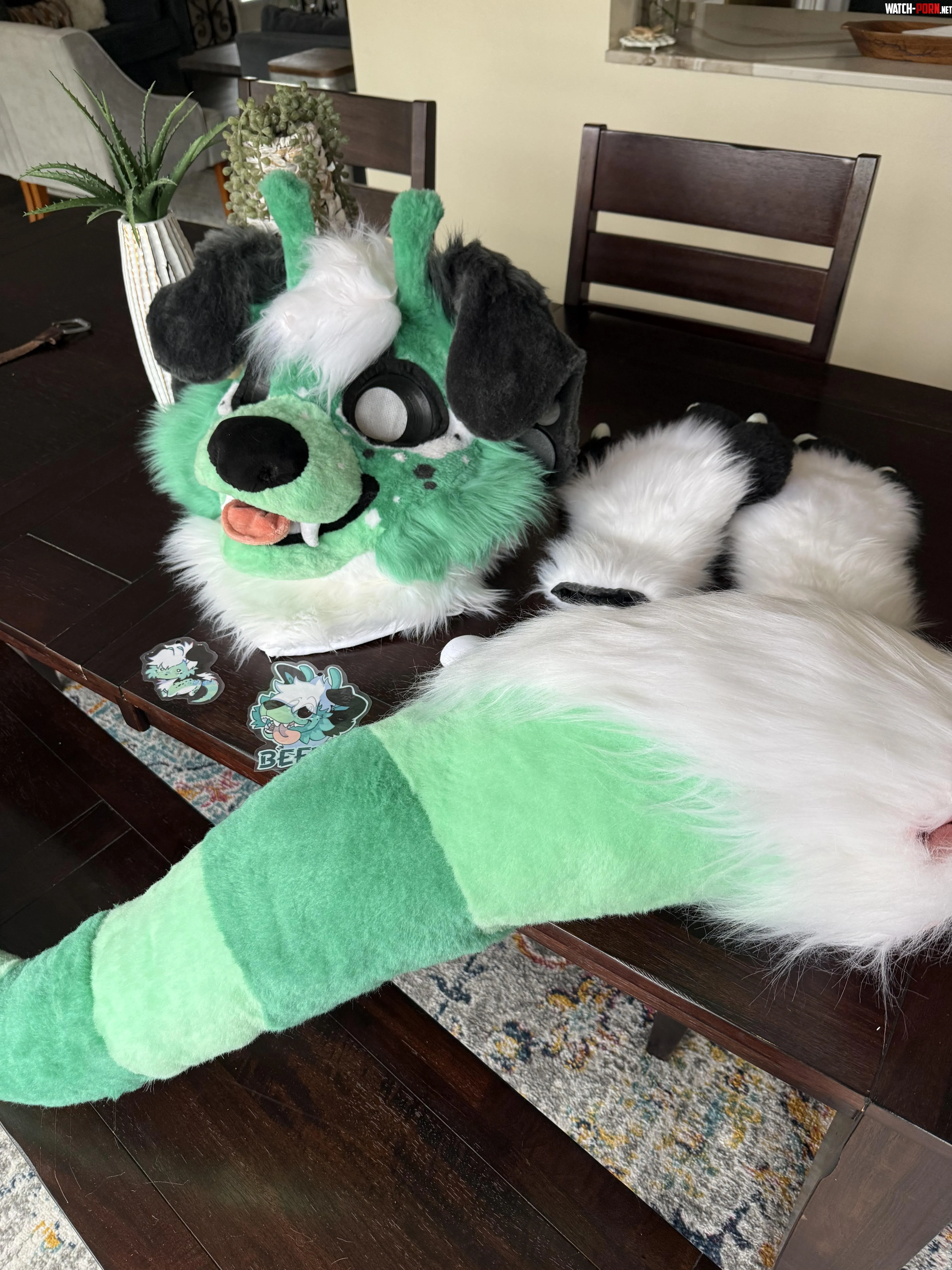Alien Dog Fursuit for sale by ClappinCow