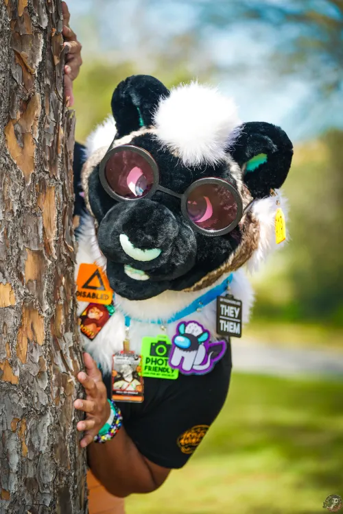 Thumbnail Already Friday by SirisCircuitz in Furry Category