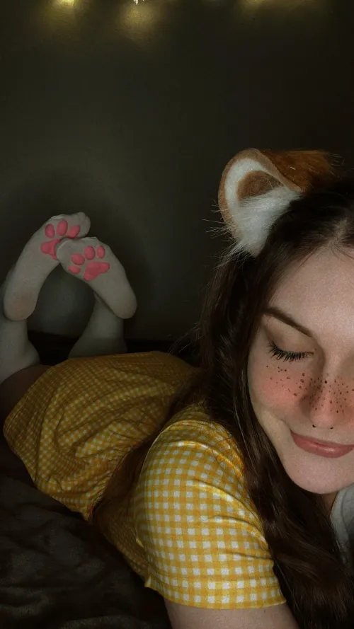 Thumbnail Playtime for Pets: Tips from BabyBear4202 in Petplay Category