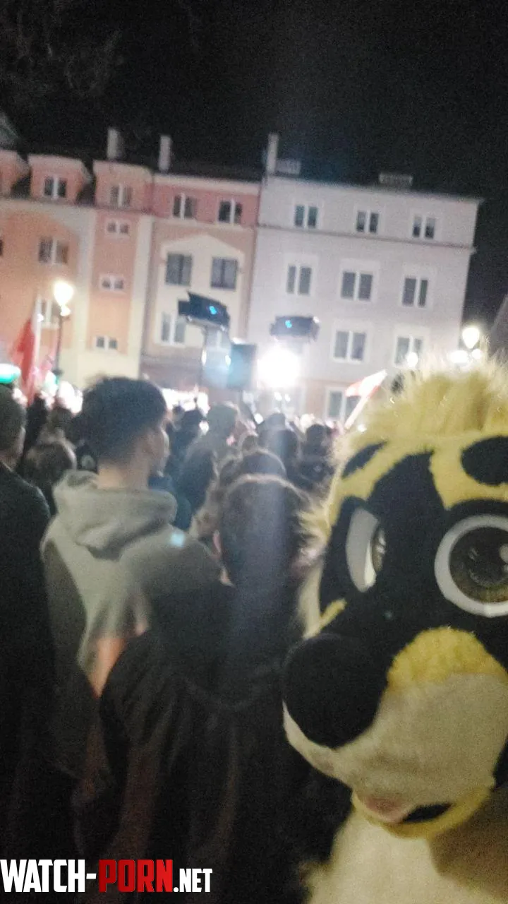 Just been fursuiting on presidential candidate rally in Poland by Kajor3003