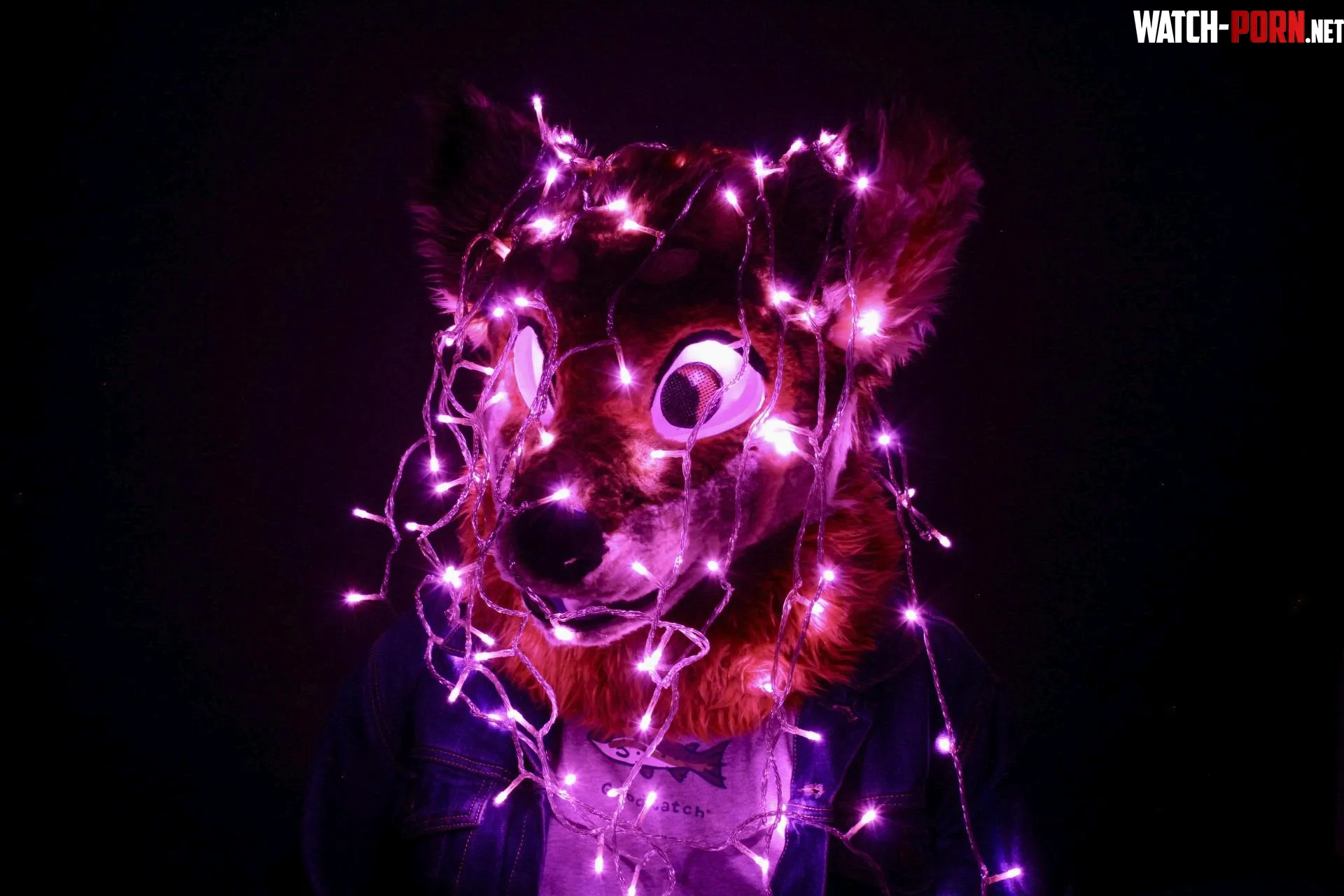 Covered with Lights by SqualyCactus