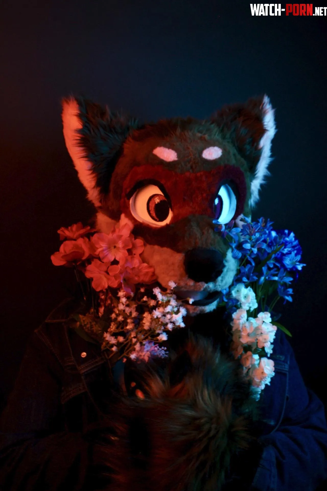 Flowers hot and cold by SqualyCactus