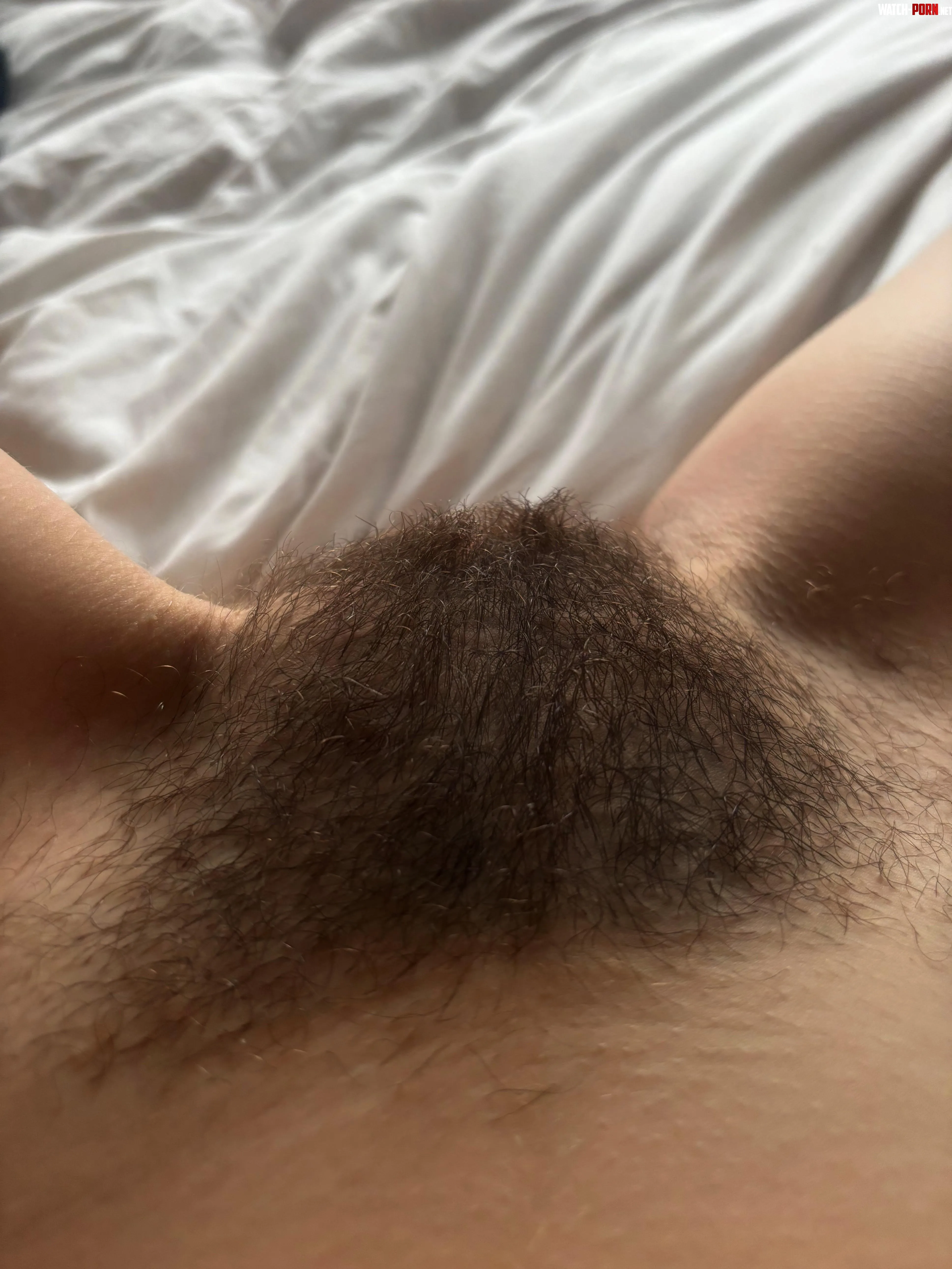 My morning view of my little pussy  by cuddlyB