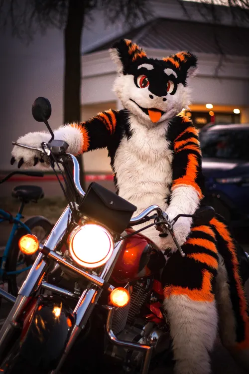Thumbnail GT by SilySox | furry