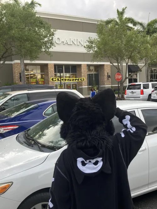 Thumbnail Rest in Peace to Joann Fabric - Fursuit Supply by Iyzrd | furry