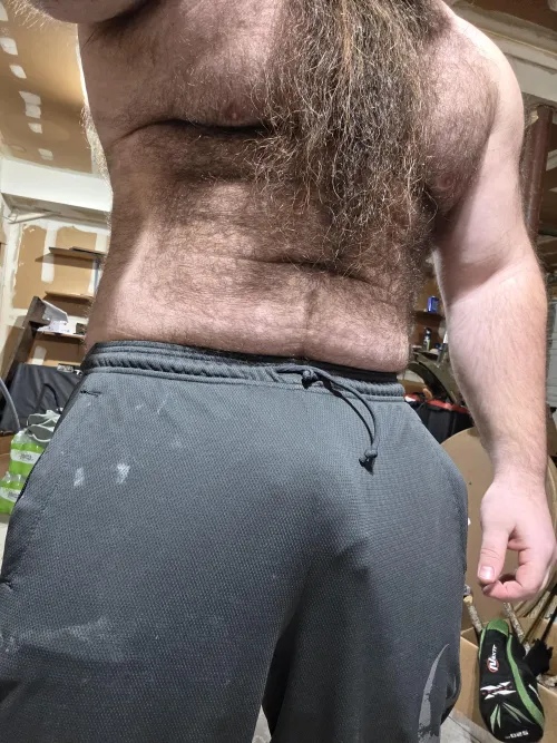Thumbnail Spring Cleaning Secrets of bad_dawgg in the Bulges Category