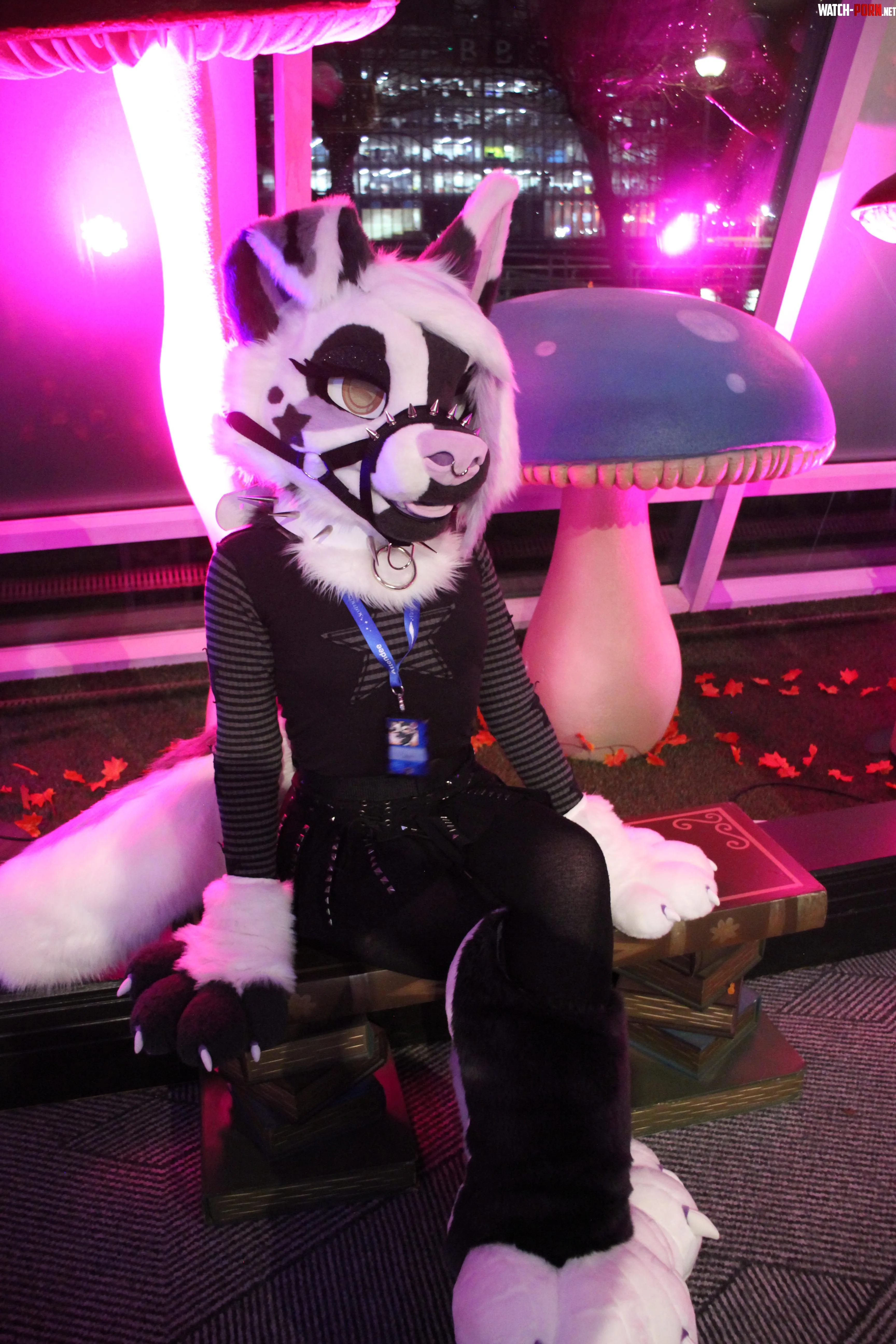 Hope everyone is having a good weekend Im working but luckily I love my job  by Baileystarpup