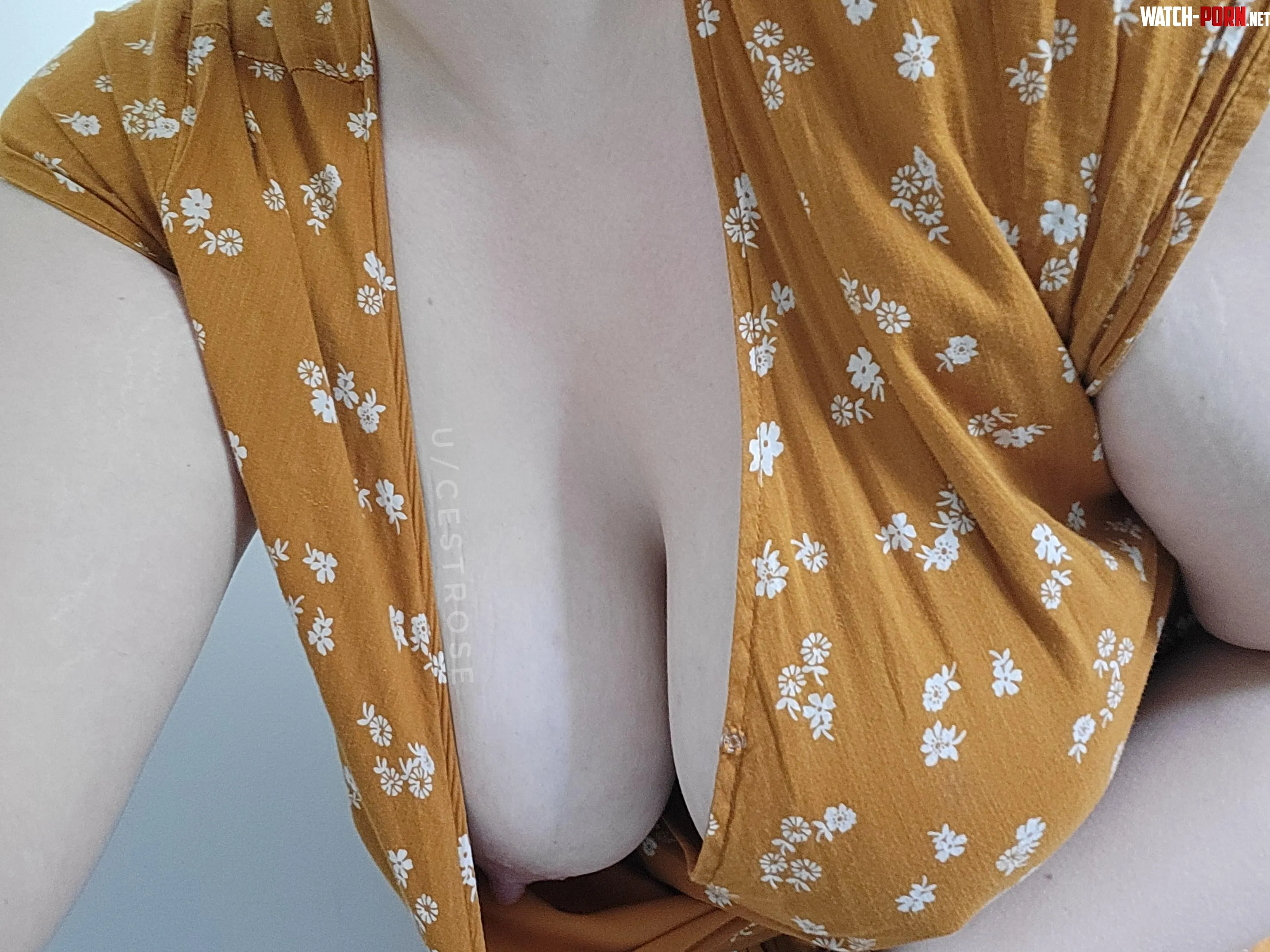 Im a milf who knows how to tastefully tease by cestrose