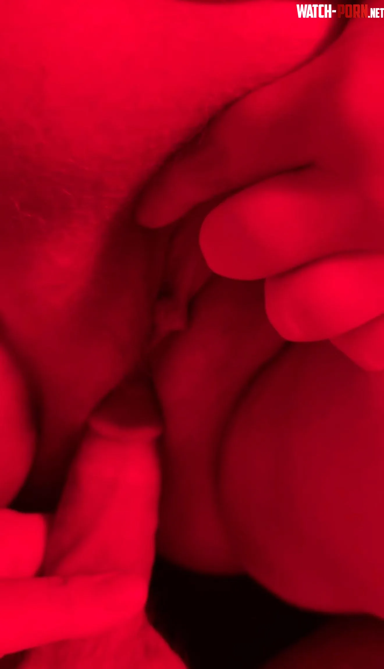 Pic of my friend about to slide into my wifes tight pussy by Tall_Transition_8586
