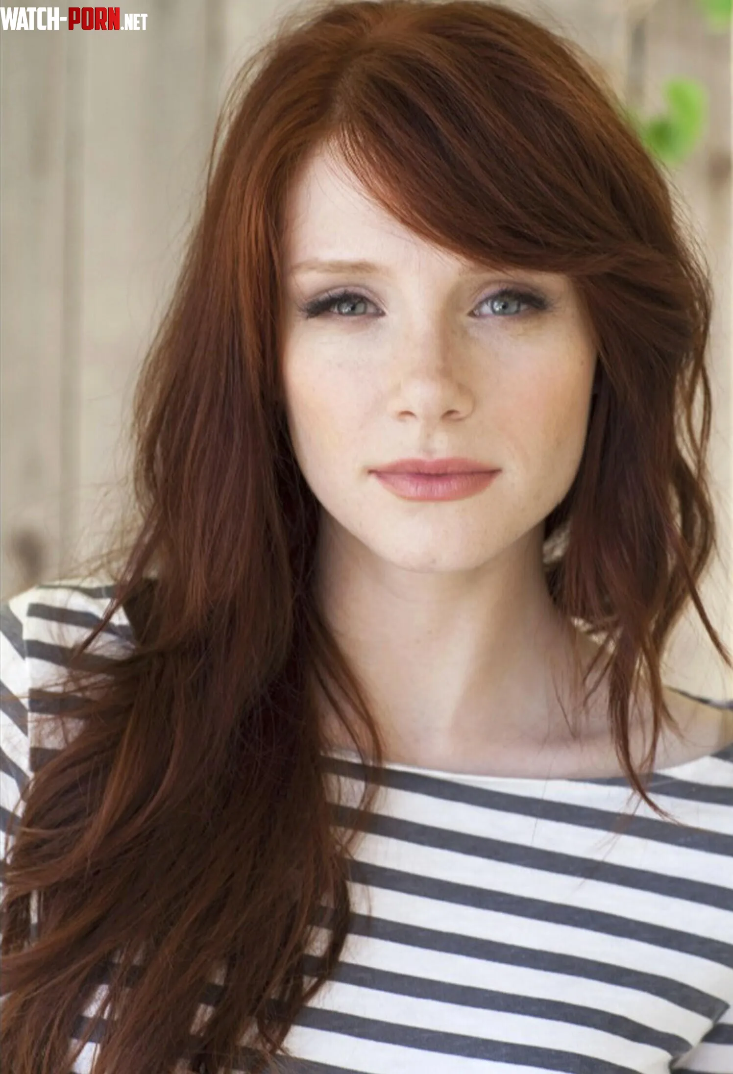 Bryce Dallas Howard by rom003
