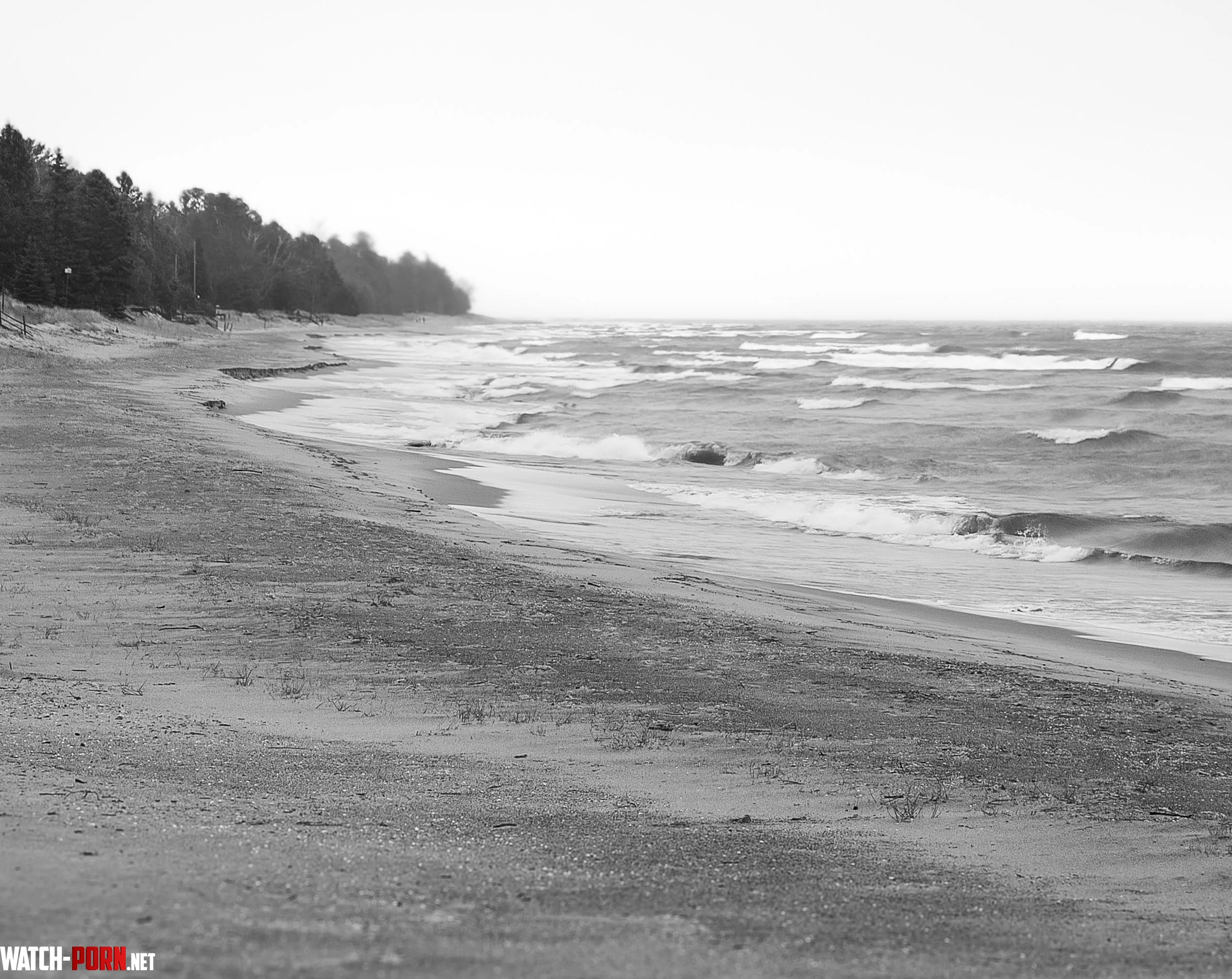 Raw spring walk at Lily Bay by doorcountycentry