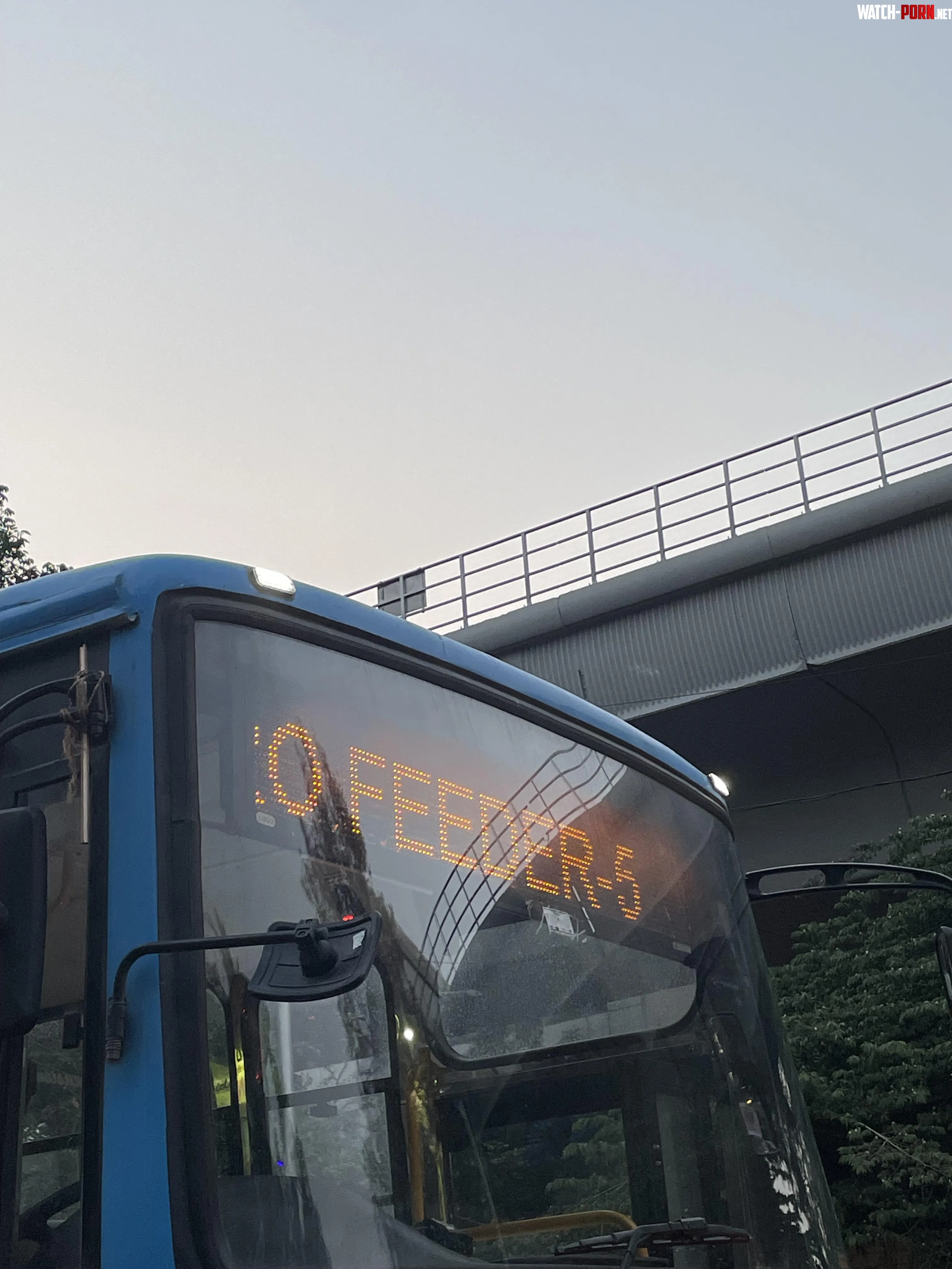 Feeder bus by Bigmanshaquille
