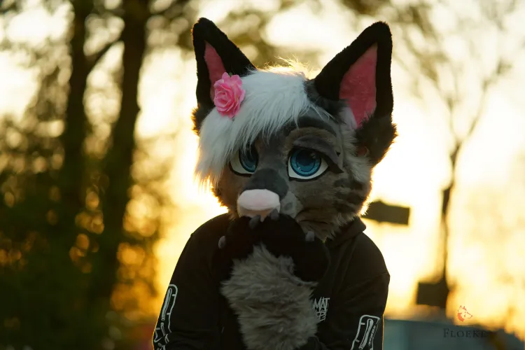 Thumbnail Monday Blues: Rothritter's Reflective Furry Moment