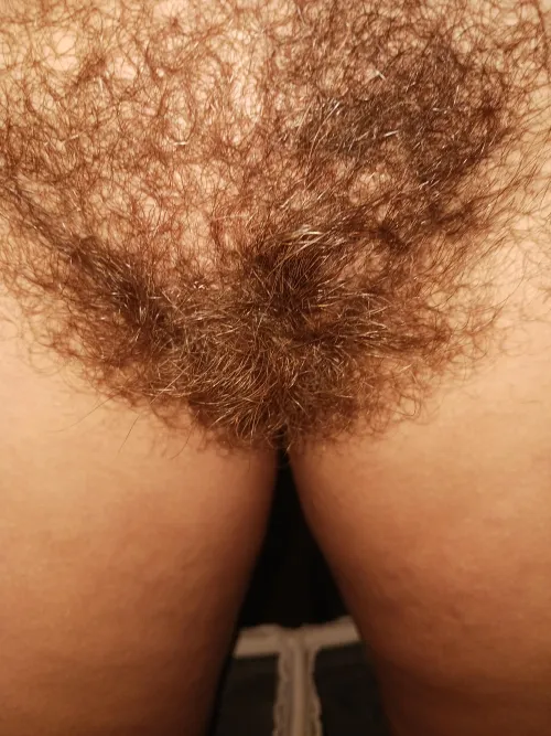 Thumbnail Embracing the Natural: The Beauty of Cowlicks in HairyPussy by wildly_womanly
