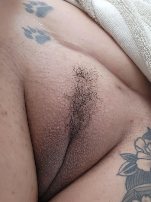 Thumbnail Luscious Latina Land: WhoisMrsB's Distinctive Display