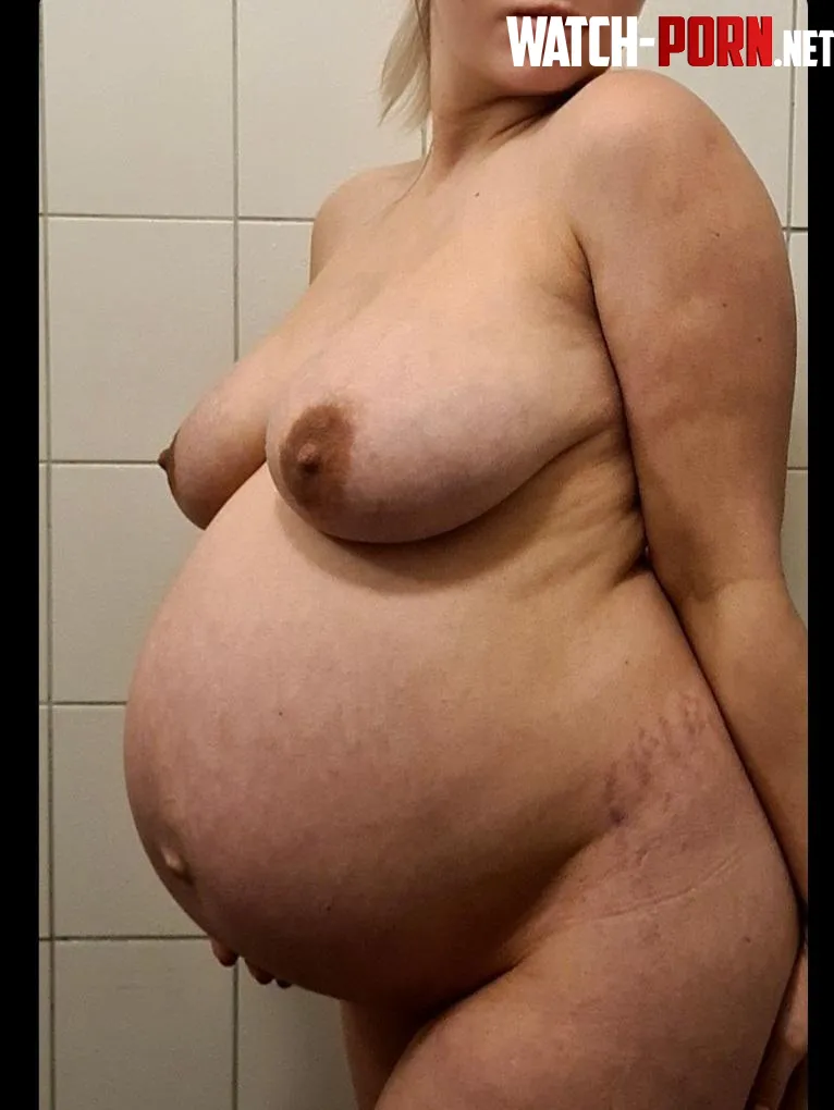 No need to pull out because Im pregnant by brandicandy01