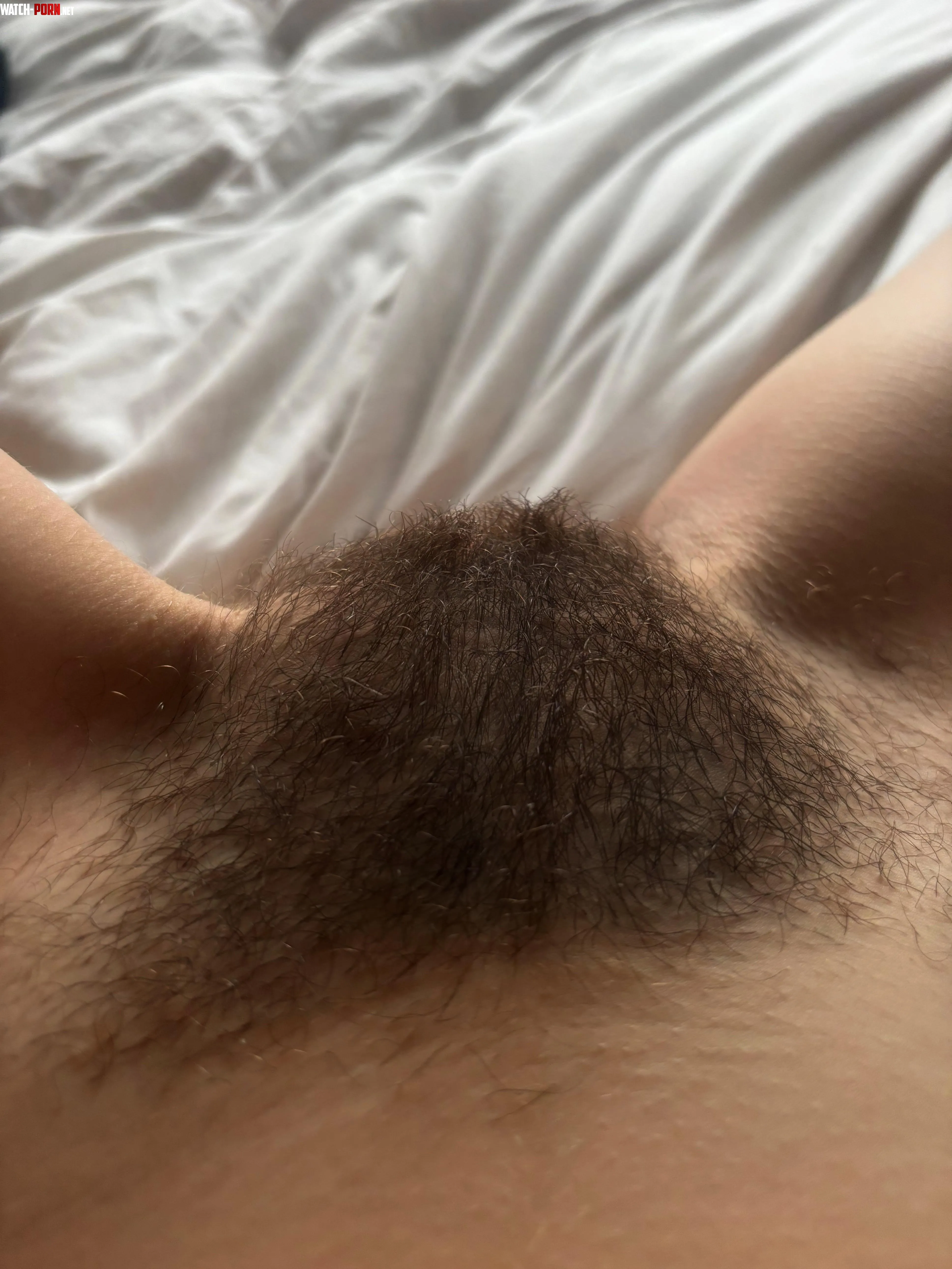 Morning view of my cute virgin pussy  two months natural and never going back I never felt more feminine and sexy xx by cuddlyB