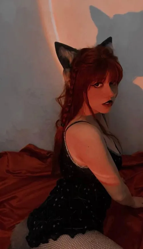 Thumbnail Luna_foxie Wants to Learn About Play - petplay