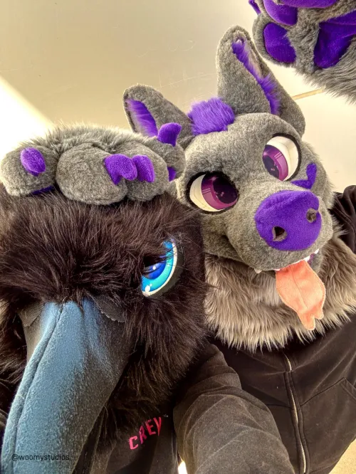 Thumbnail Trans Day of Visibility: A Furry Celebration by Dominant_Dinosaur