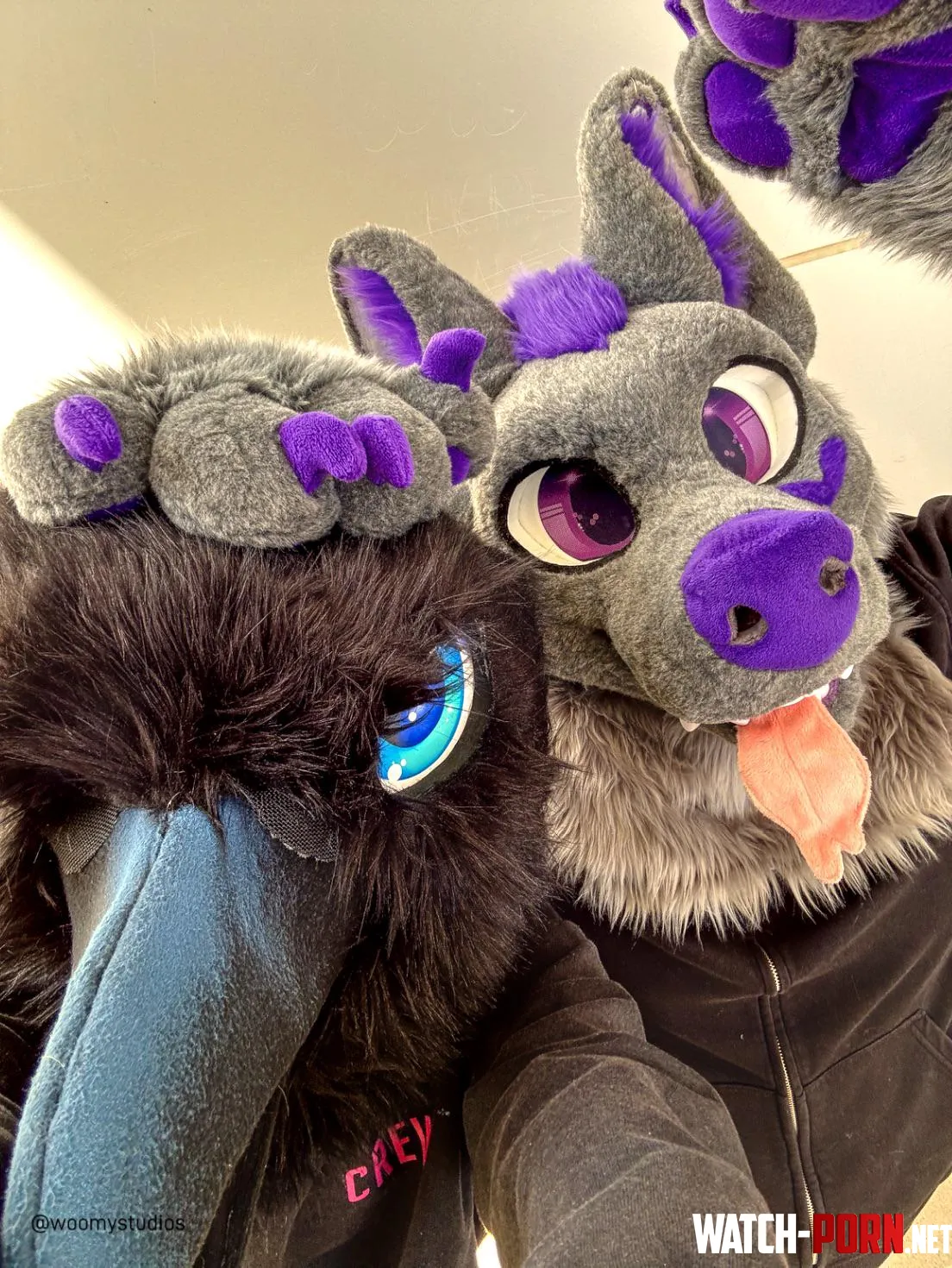 Happy Trans Day of Visibility from two trans furs gtWlt by Dominant_Dinosaur