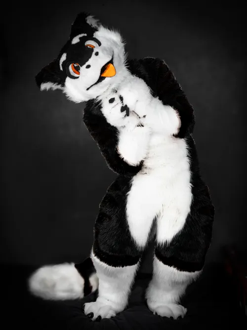 Thumbnail Missing Stripes: SilySox's Furry Art Piece