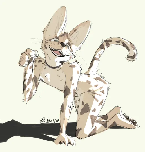 Thumbnail Explore the Beauty of a Serval: Furry Delight by netinhovo