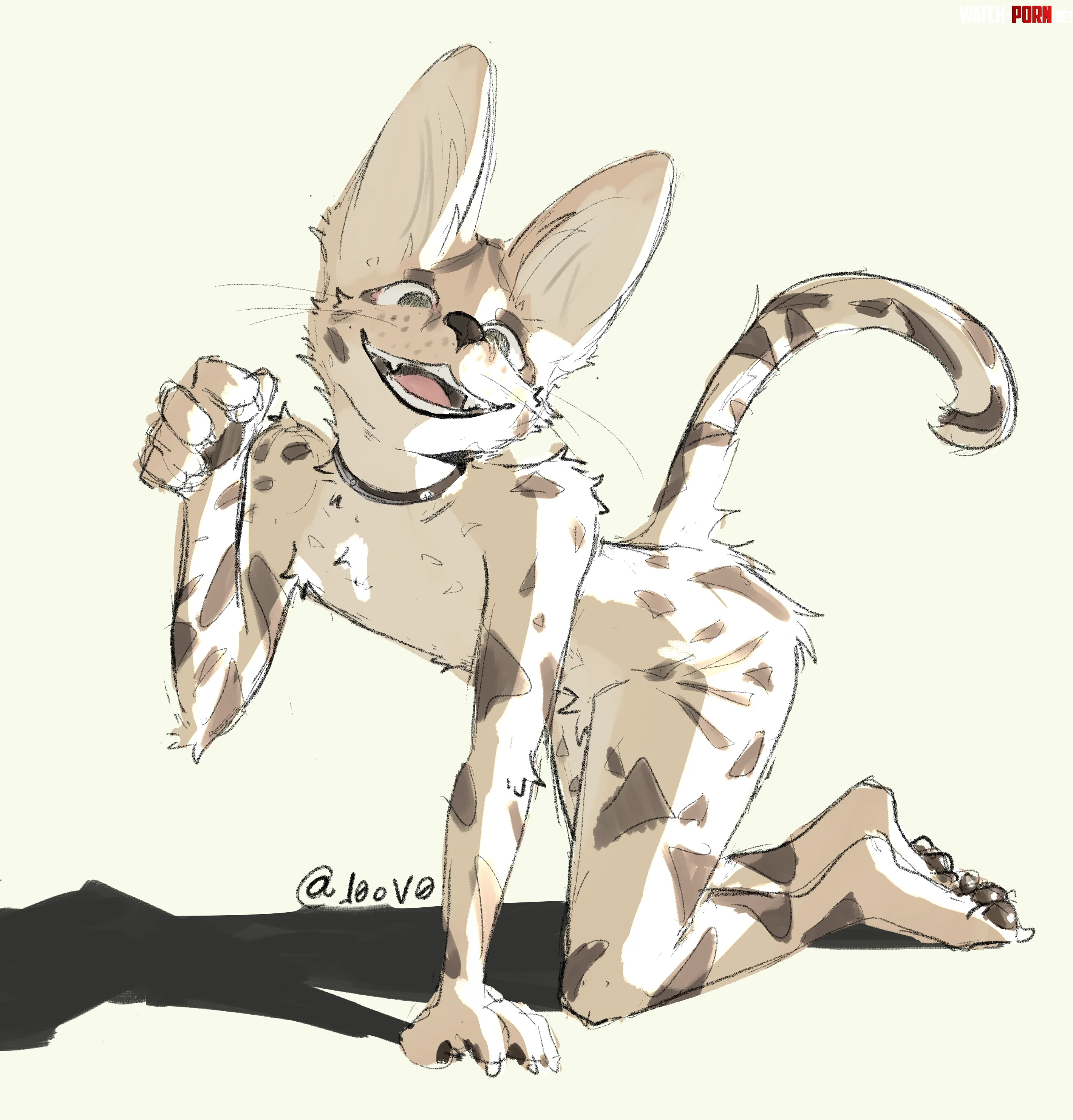 serval 3 by netinhovo